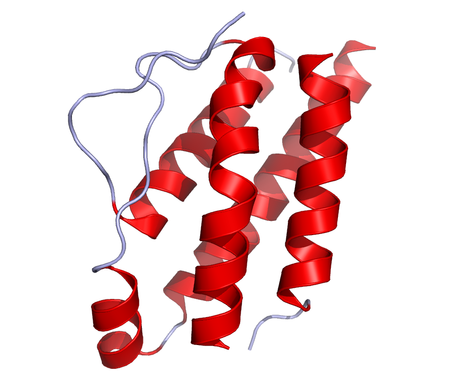 Interleukin 2 U CyTech