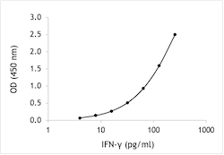 Rat IFN-gamma ELISA