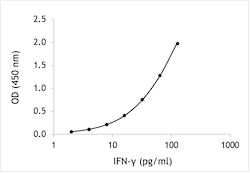 Rat IFN-gamma ELISA