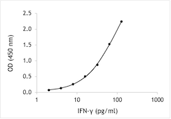 Monkey IFN-gamma ELISA