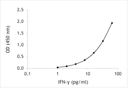 Mouse IFN-gamma ELISA